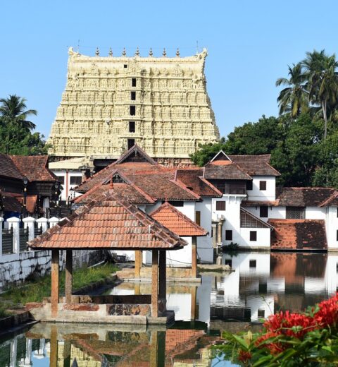 Stay in the Middle of the Forest Periyar Tiger Reserve Watch Tower
