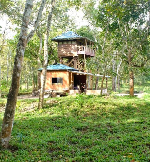 Registrations Opened for International Paragliding Festival in Vagamon Kerala India