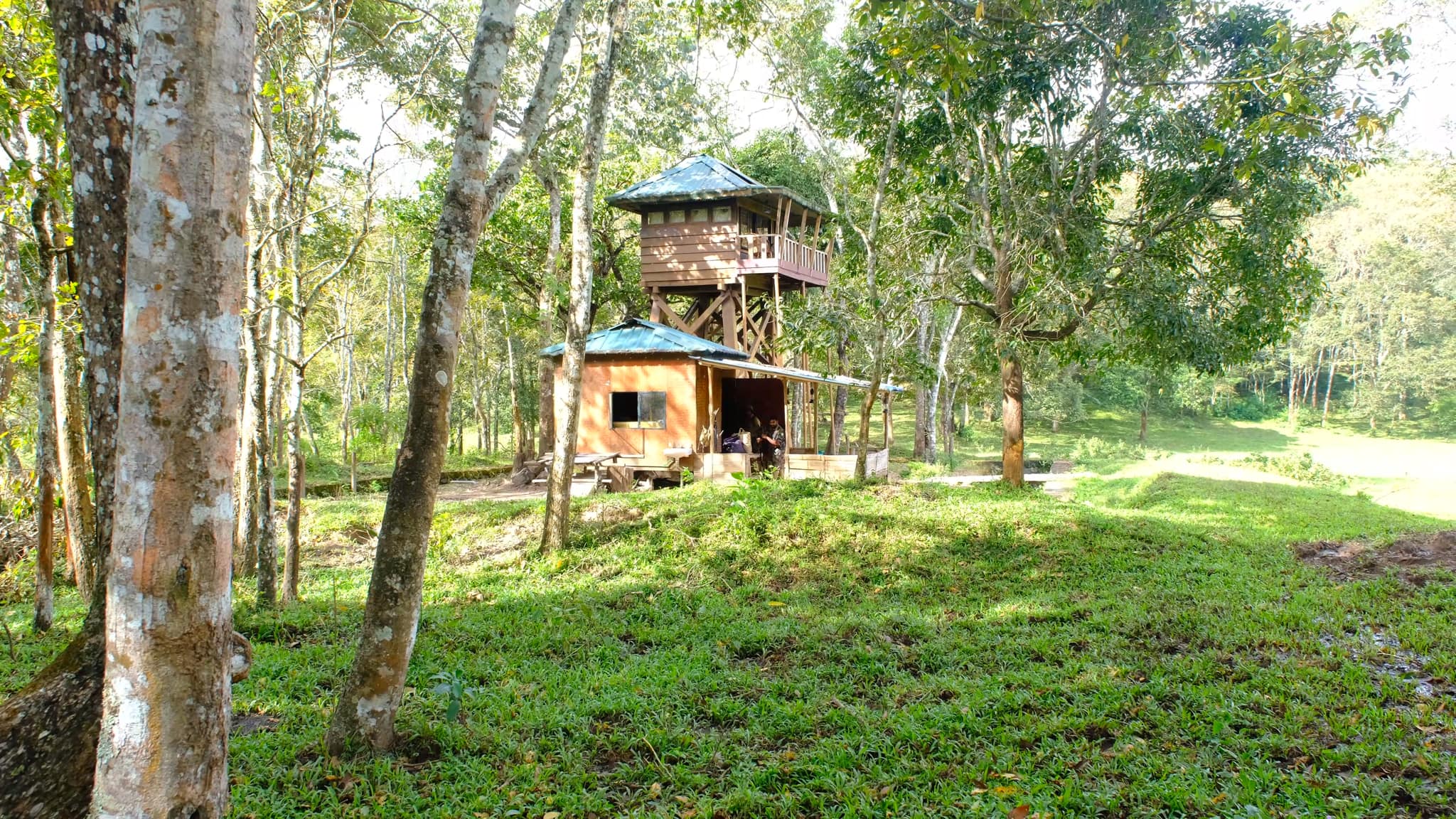 Stay in the Middle of the Forest Periyar Tiger Reserve Watch Tower