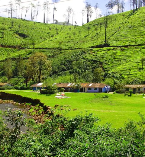 Explore Wayanad in One Day With Three Different Travel Routes