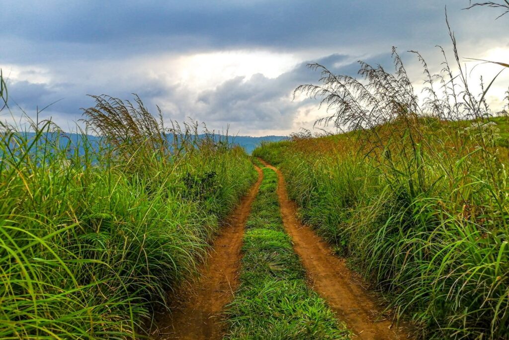 Top 72 tourist attractions in Munnar and Idukki District of Kerala