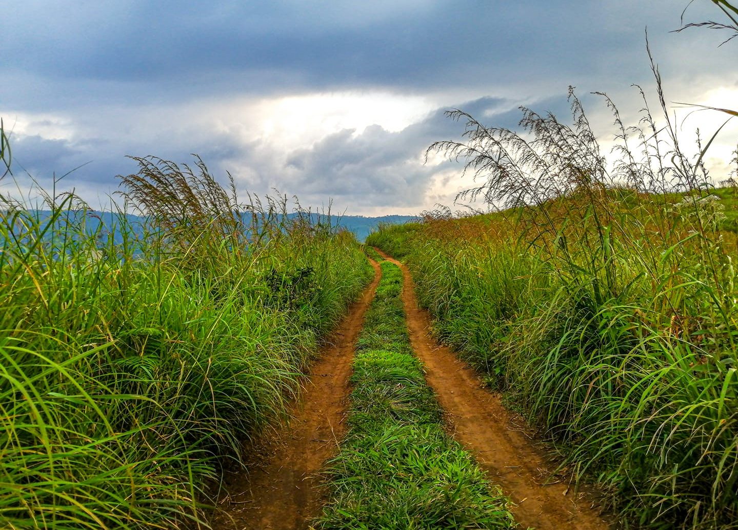 Top 72 tourist attractions in Munnar and Idukki District of Kerala