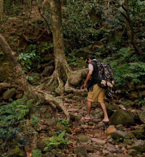 Registrations Opened for International Paragliding Festival in Vagamon Kerala India