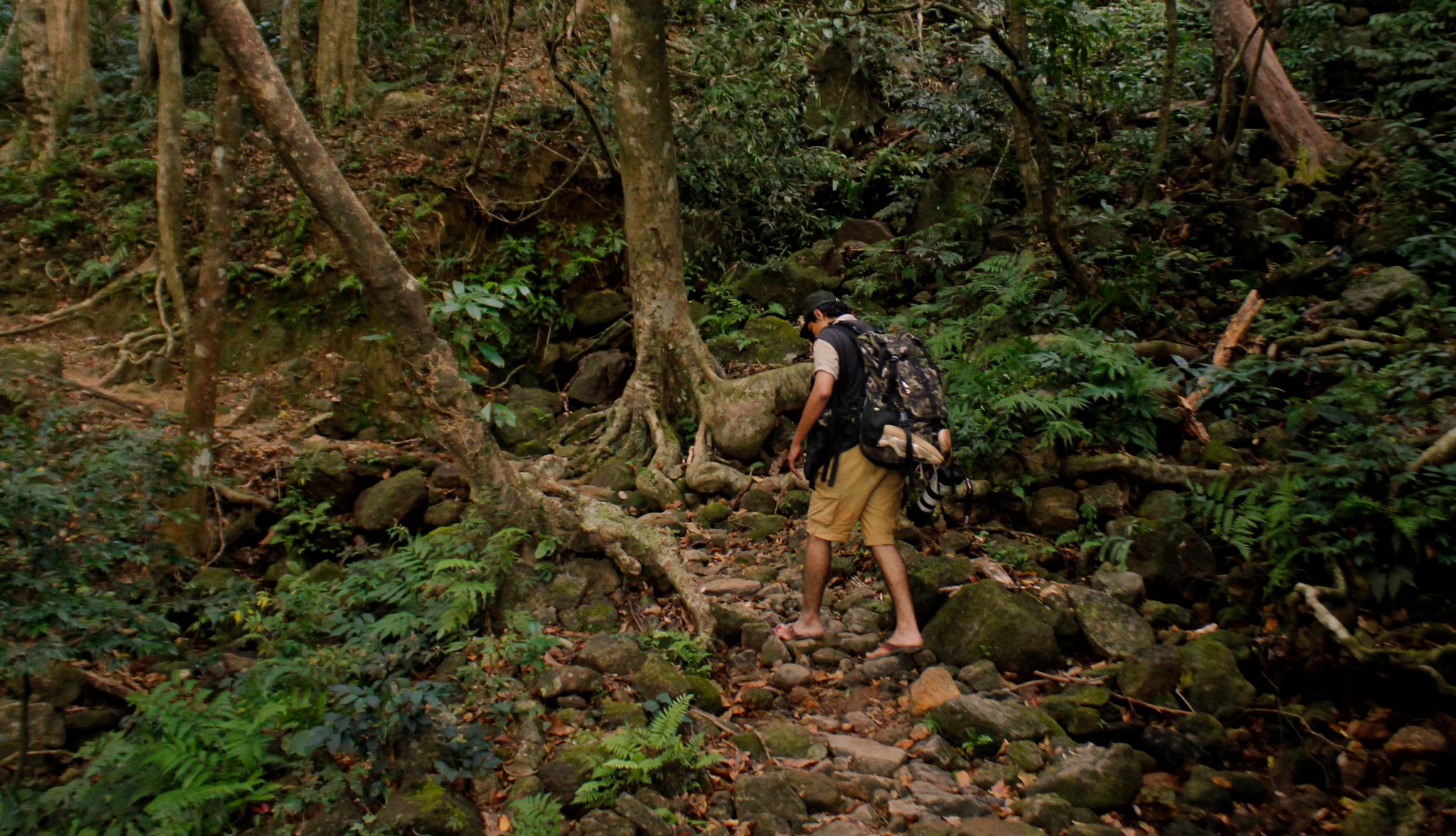 അഗസ്ത്യാർകൂടം ട്രക്കിംഗ്  2022 ബുക്കിംഗ് ഓൺലൈനിൽ തുടങ്ങി