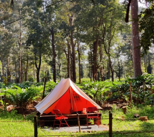 Wood Monks Camping Wayanad Wood Monks Camping Wayanad