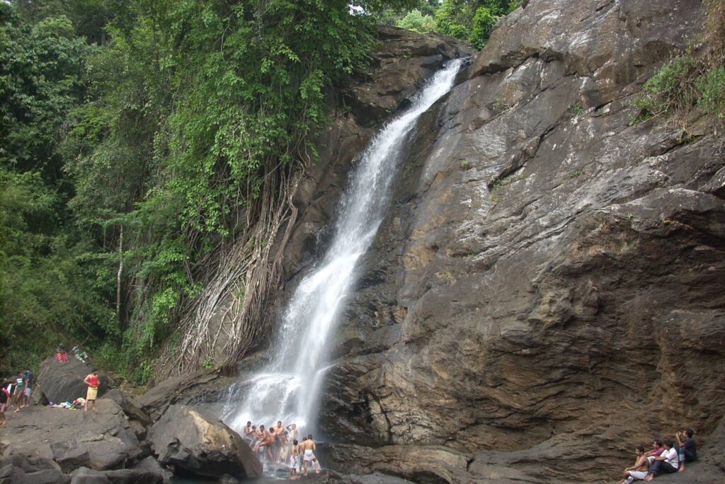 Explore Wayanad in One Day With Three Different Travel Routes