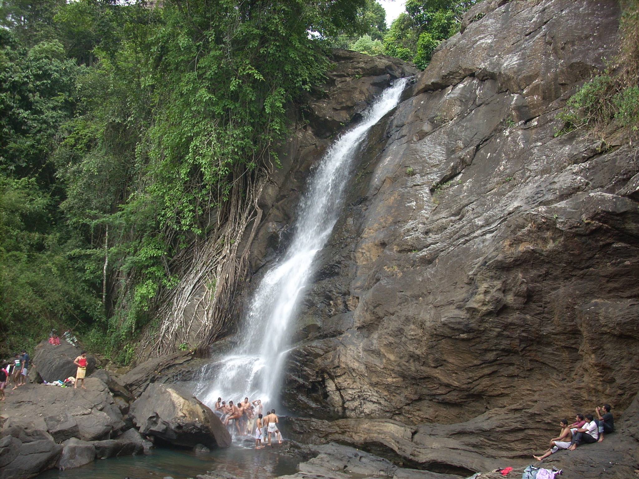 Explore Wayanad in One Day With Three Different Travel Routes