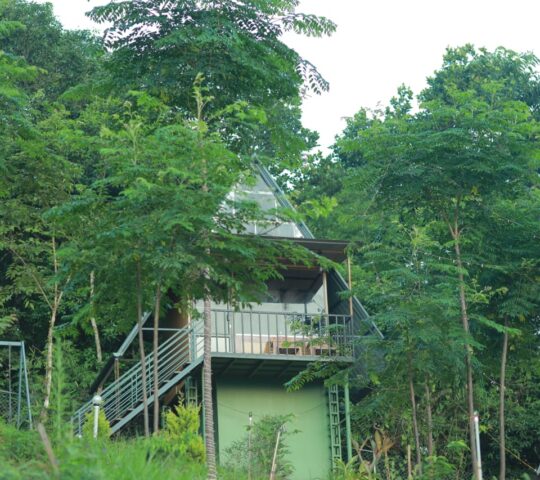 Angels Nest Mud House Stay Wayanad Angels Nest Mud House Stay Wayanad