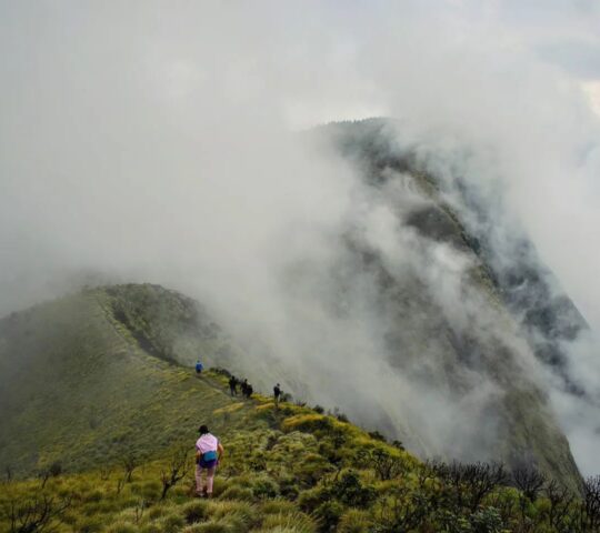 Munnar Meesapulimala Camping Munnar Meesapulimala Camping
