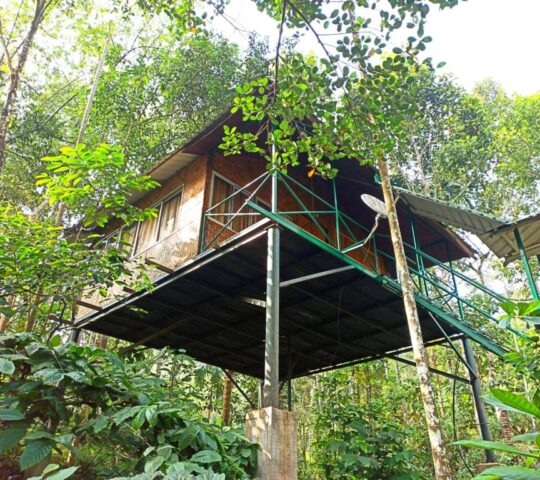 The Coffee County Resorts Wayanad Unlimited Swimming Pool The Coffee County Resorts Wayanad Unlimited Swimming Pool