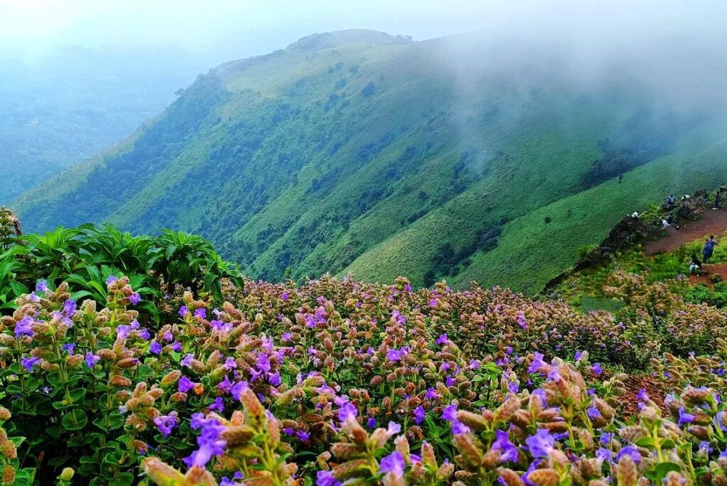 Visit Chikkamangalur in One day BY Public Transport