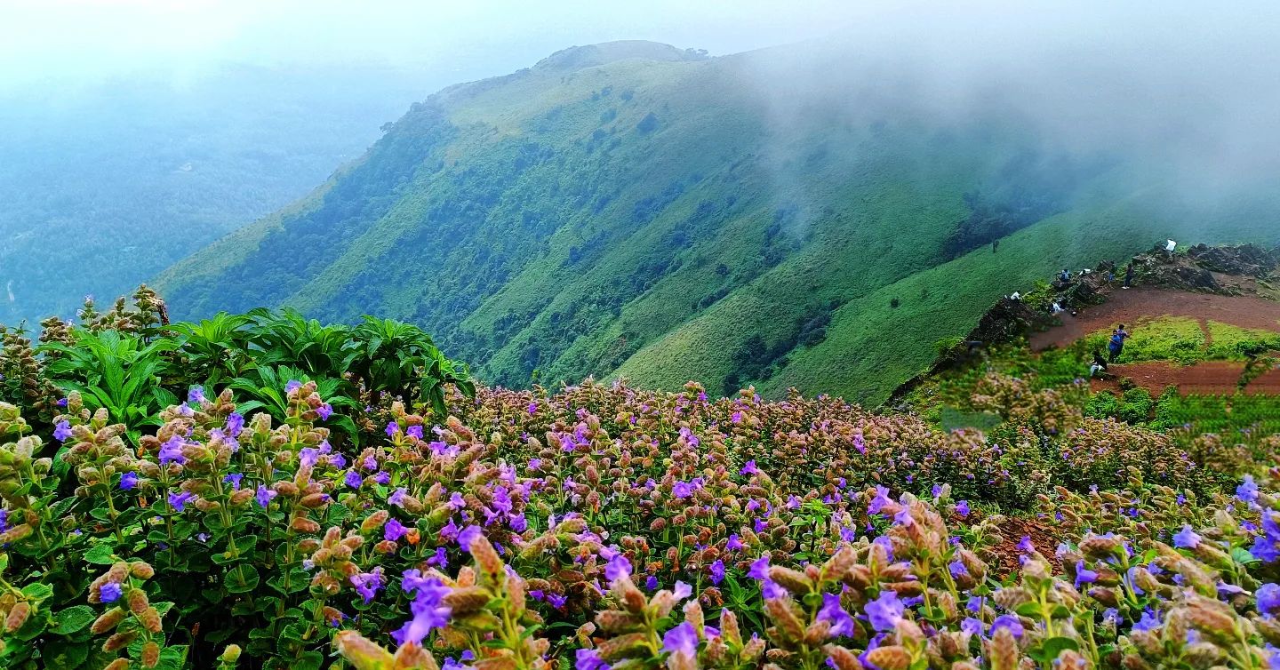 Visit Chikkamangalur in One day BY Public Transport