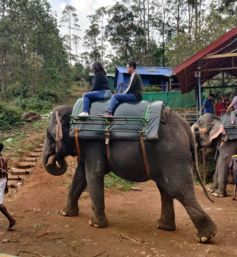 Hidden gems Tourist places in Nilambur Malappuram