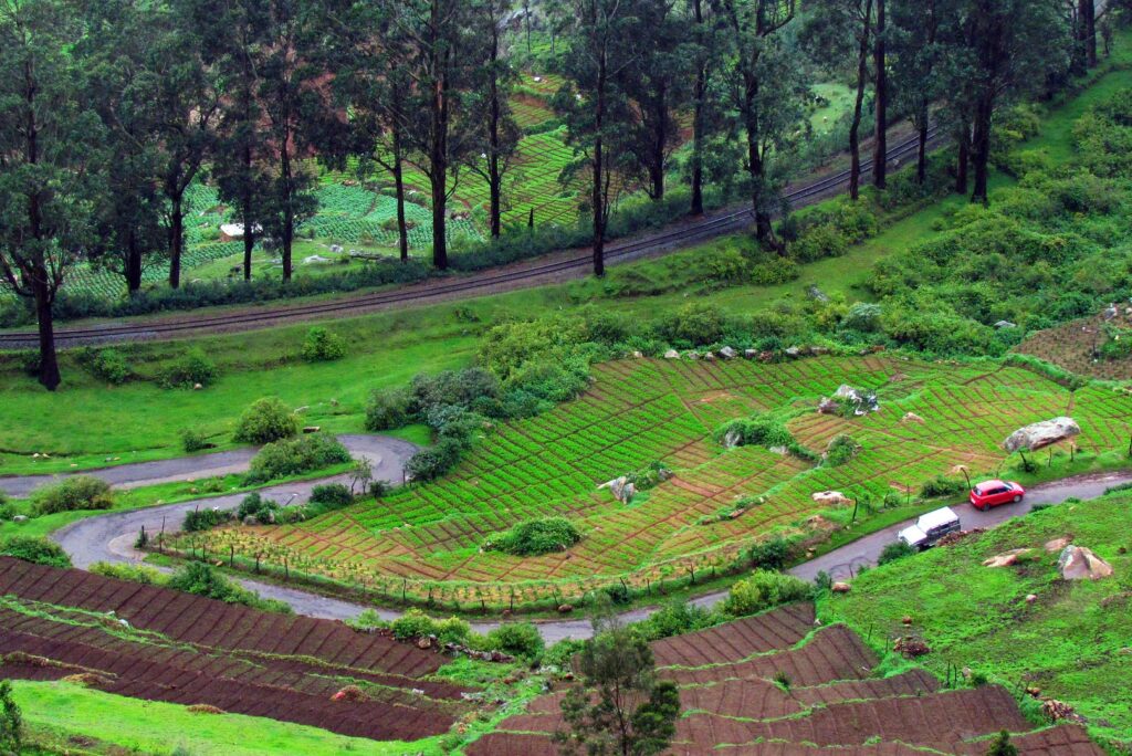 28 Places that you must visit in Ooty Tamilnadu