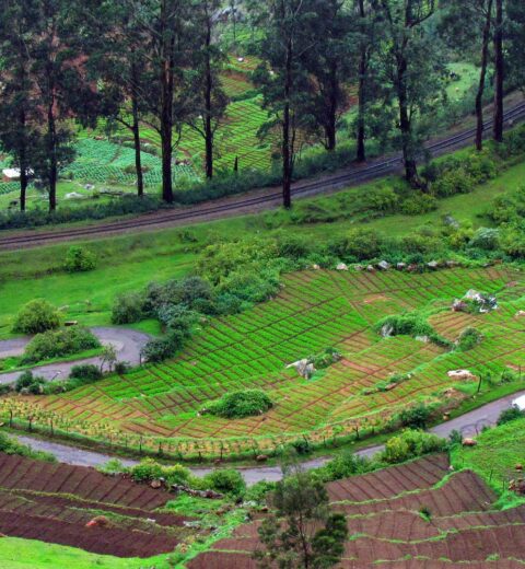 Hidden gems Tourist places in Nilambur Malappuram