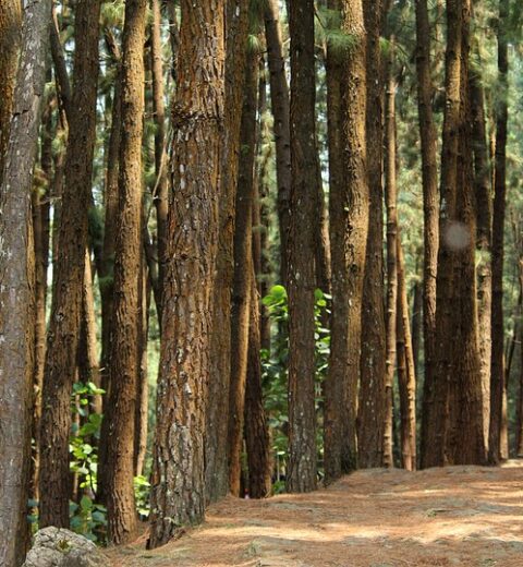 Kerala to Hyderabad tour Package by Train