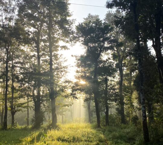 Thollayiram Kandi Resort Camping & Tent Stay Thollayiram Kandi Resort Camping & Tent Stay