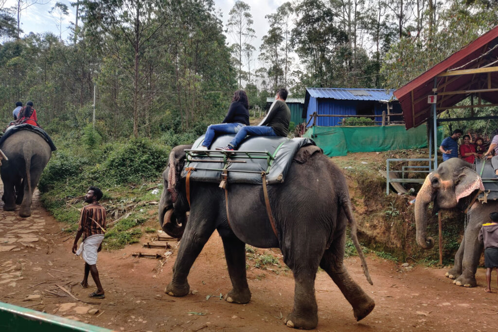 Things Must Know Before Planning The Munnar Trip