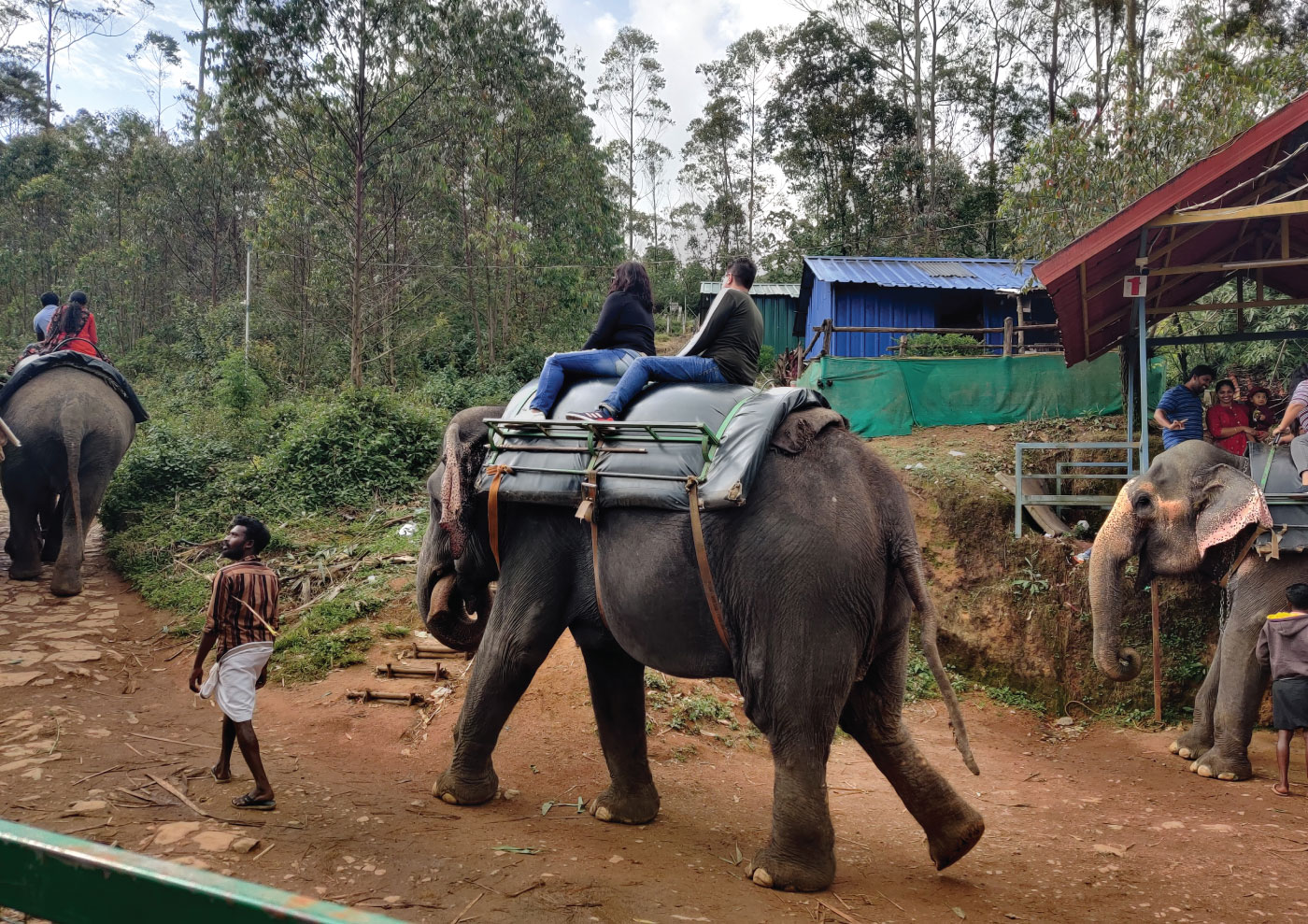 Things Must Know Before Planning The Munnar Trip