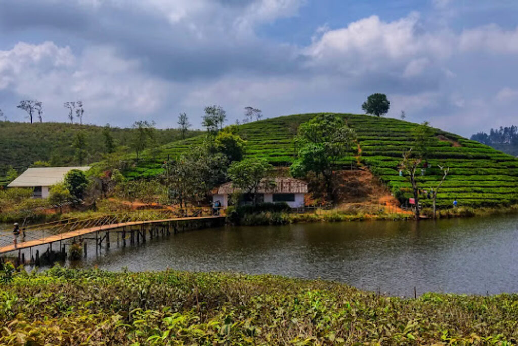 21 Must Visit Tourist places in Vagamon