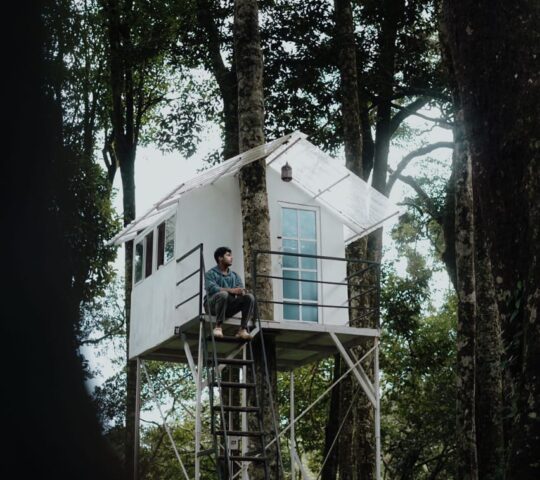 Treehouse Stay Wayanad 900 Kandi Treehouse Stay Wayanad 900 Kandi