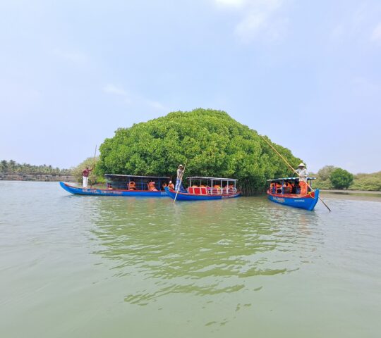 Kadalundi Island Tourism houseboat Packages Kadalundi Island Tourism houseboat Packages
