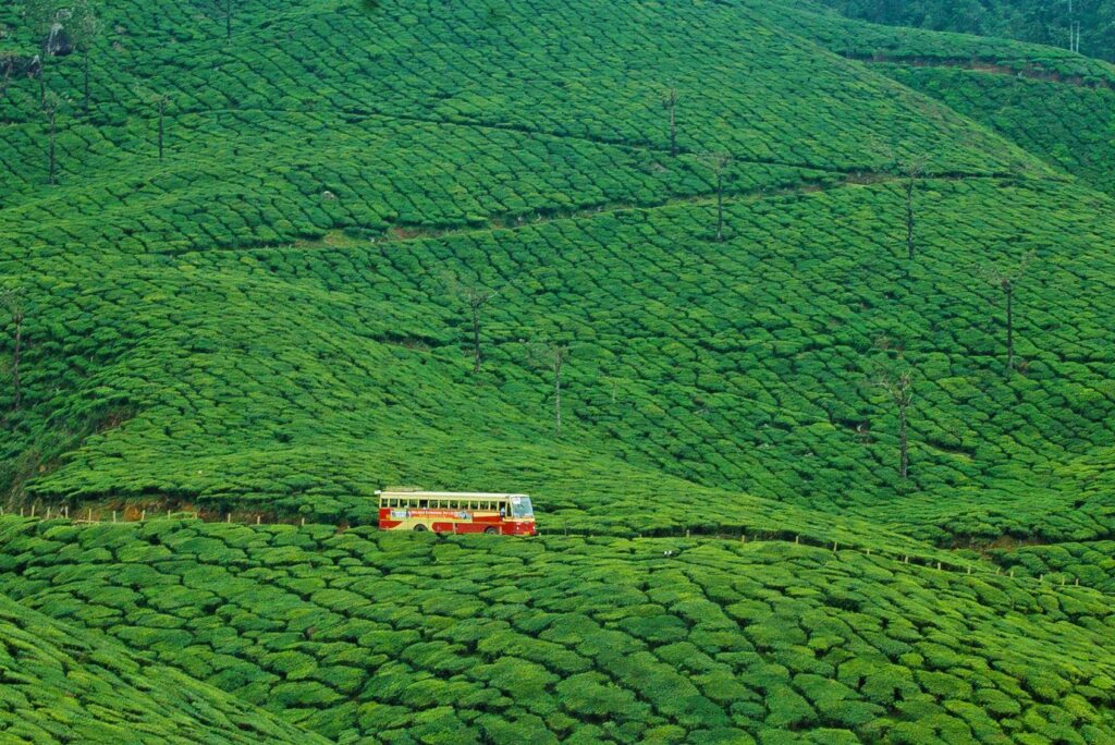 KSRTC Tour Coordinator Phone Number