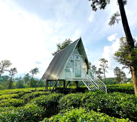 Tea Plantation A-frame stay in Wayanad Tea Plantation A-frame stay in Wayanad