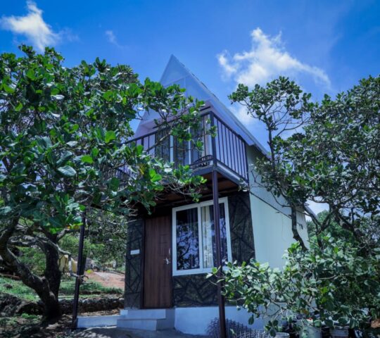 Swimming pool Homestay in Munnar