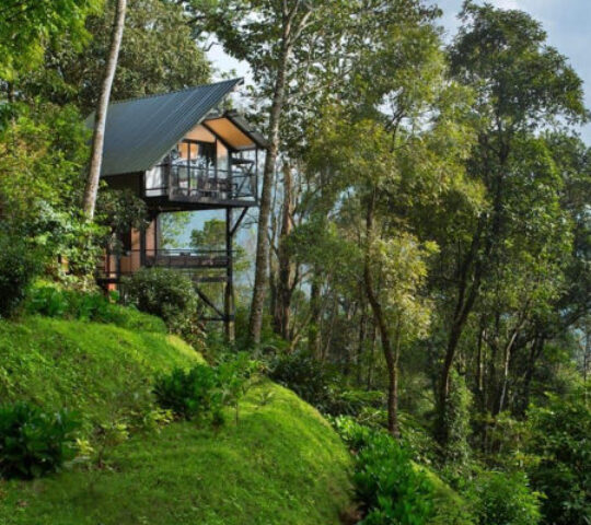 Bamboo Dale Resort Bamboo Dale Resort