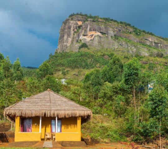 Food Forest Kanthalloor Mud Houses & Wood Houses