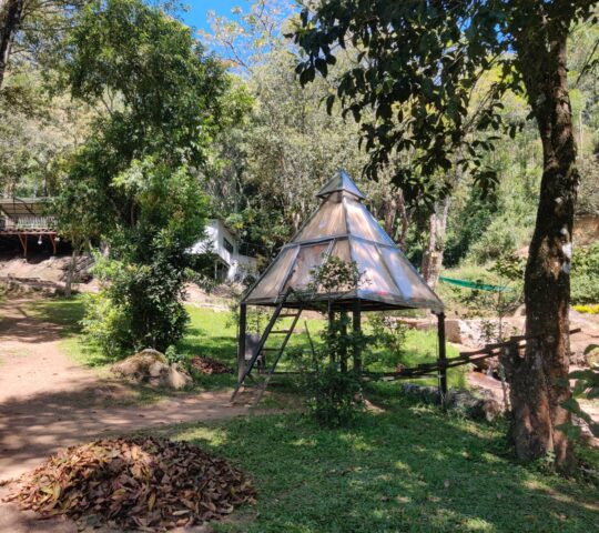 Glass house stay with Waterfall Trekking Munnar Glass house stay with Waterfall Trekking Munnar