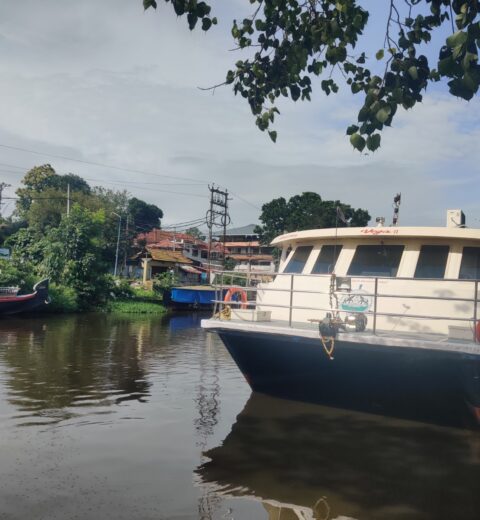 List National Parks, Tiger Reserves, and Wildlife Sanctuaries in Kerala