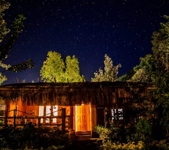 Mud House Nature Tones