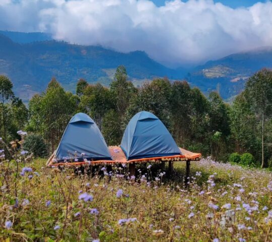 Roamrustic camp Vattavada Munnar Roamrustic camp Vattavada Munnar