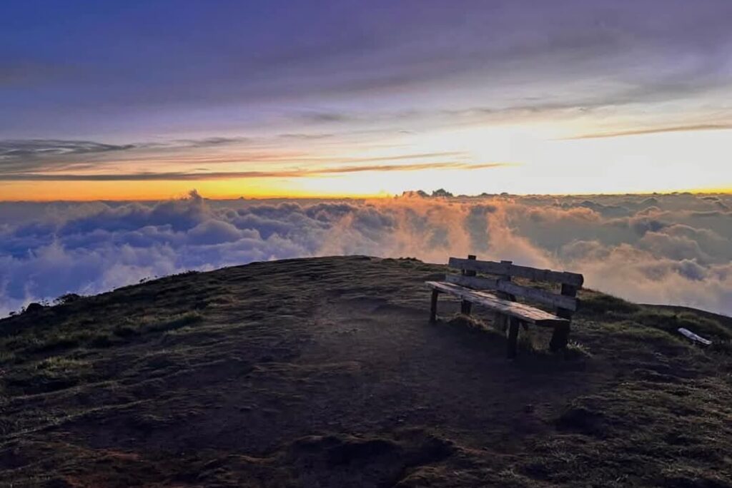 Explore Meesapulimala on a Budget