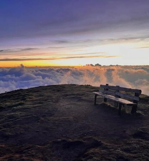 Explore Wayanad in One Day With Three Different Travel Routes