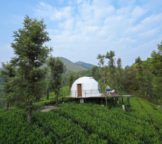 Wayanad Vythiri Dome Stay