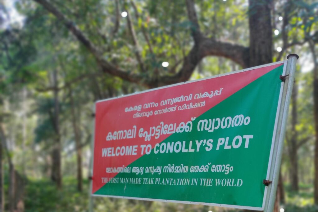 Hidden gems Tourist places in Nilambur Malappuram