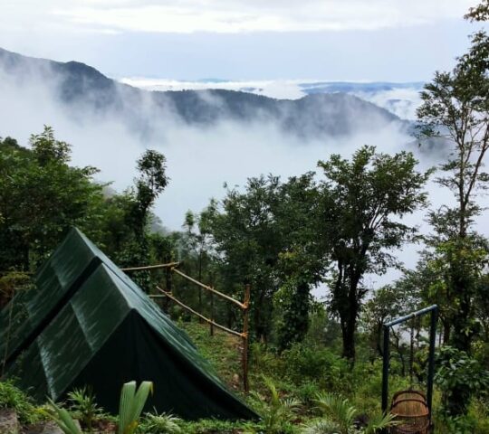 Camping in Kuttikkanam