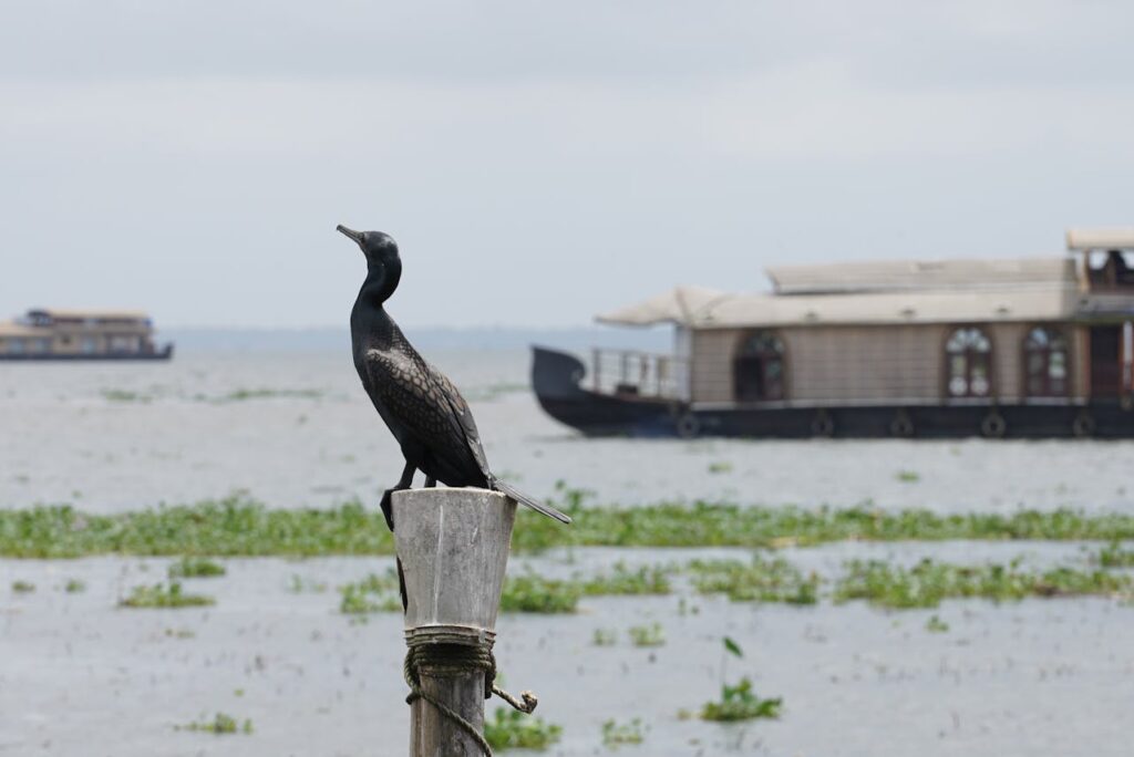 List National Parks, Tiger Reserves, and Wildlife Sanctuaries in Kerala