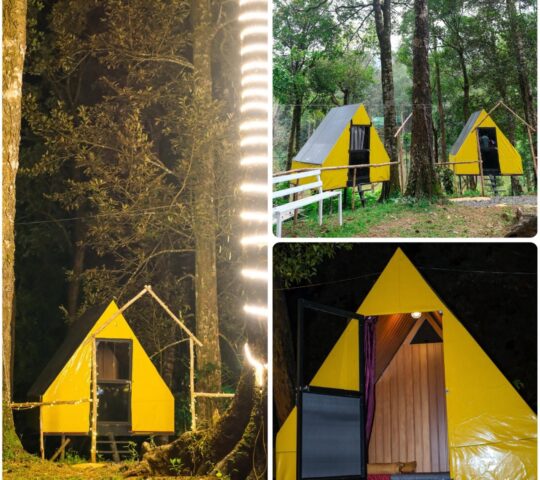 Stay in 900 KANDI, Meppadi, Wayanad