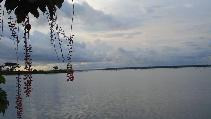 Thanneermukkom Bund - Image 7