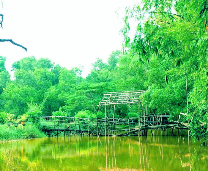 Noor lake Tirur Malappuram - Image 2