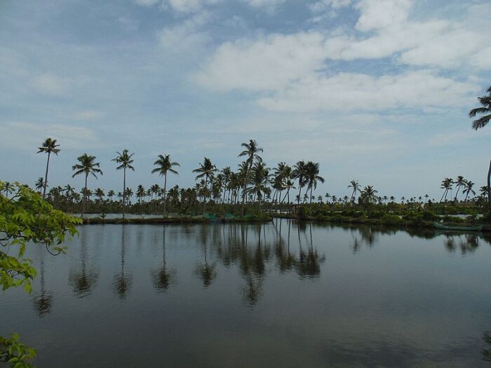 Kumbalangi Backwaters - Image 2