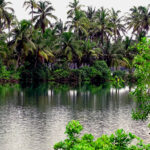 Padanna Backwaters