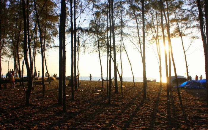 Kuzhupilly Beach - Image 4