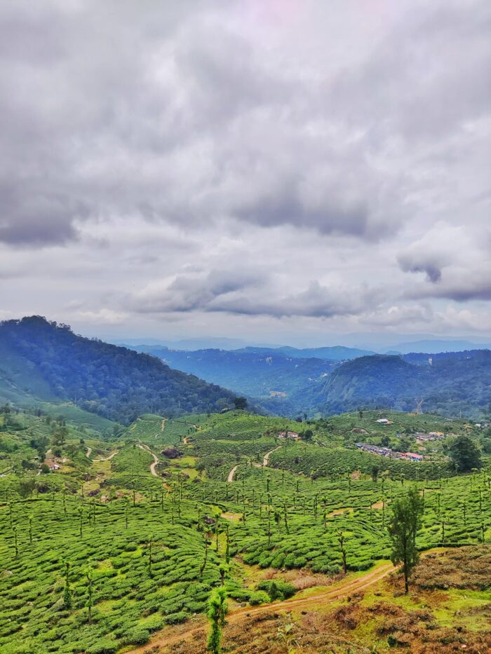 Koodaram Camping at Munnar by Nature Farm Stay Kerala - Image 4