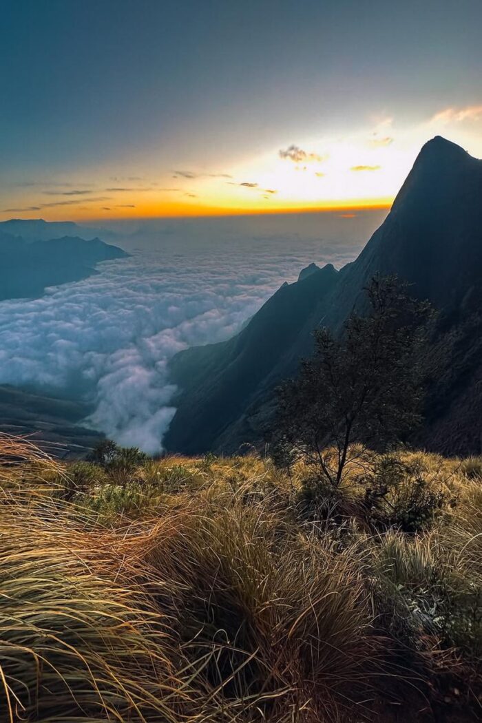 Kolukkumalai - Image 3