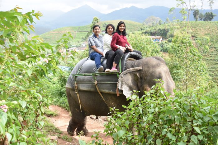 Carmelagiri Elephant Park Munnar - Image 2